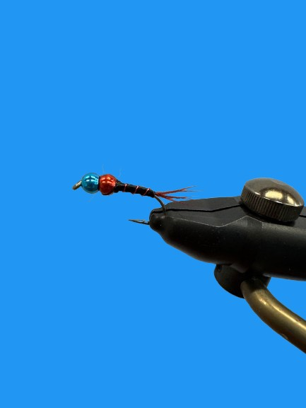 Tim's Rainbow Warrior #8 - Sportinglife Turangi